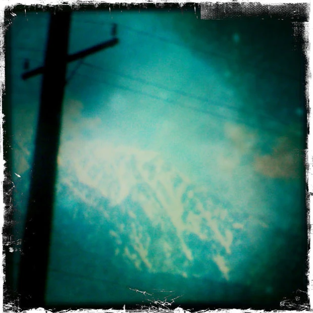 Cover art for Aspen Forest