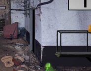 Froggaz game in the Bunker.