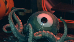 One eyed Octopus