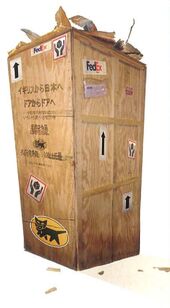 The FedEx crate in which Noodle arrived