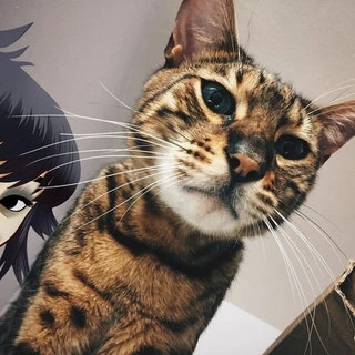 gorillaz имена персонажей всех. S3KETAARnMpZiV0s2lWsdPWWQBKm. gorillaz имена персонажей всех фото. gorillaz имена персонажей всех-S3KETAARnMpZiV0s2lWsdPWWQBKm. картинка gorillaz имена персонажей всех. картинка S3KETAARnMpZiV0s2lWsdPWWQBKm. Один из антагонистов Gorillaz. Мёрдок в своём лайв-чате с фанатами описывал его как "воплощение всего плохого в одном теле". gorillaz имена персонажей всех. S3KETAARnMpZiV0s2lWsdPWWQBKm. gorillaz имена персонажей всех фото. gorillaz имена персонажей всех-S3KETAARnMpZiV0s2lWsdPWWQBKm. картинка gorillaz имена персонажей всех. картинка S3KETAARnMpZiV0s2lWsdPWWQBKm. Один из антагонистов Gorillaz. Мёрдок в своём лайв-чате с фанатами описывал его как "воплощение всего плохого в одном теле".