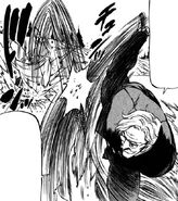 Gokurou kicking Hakai