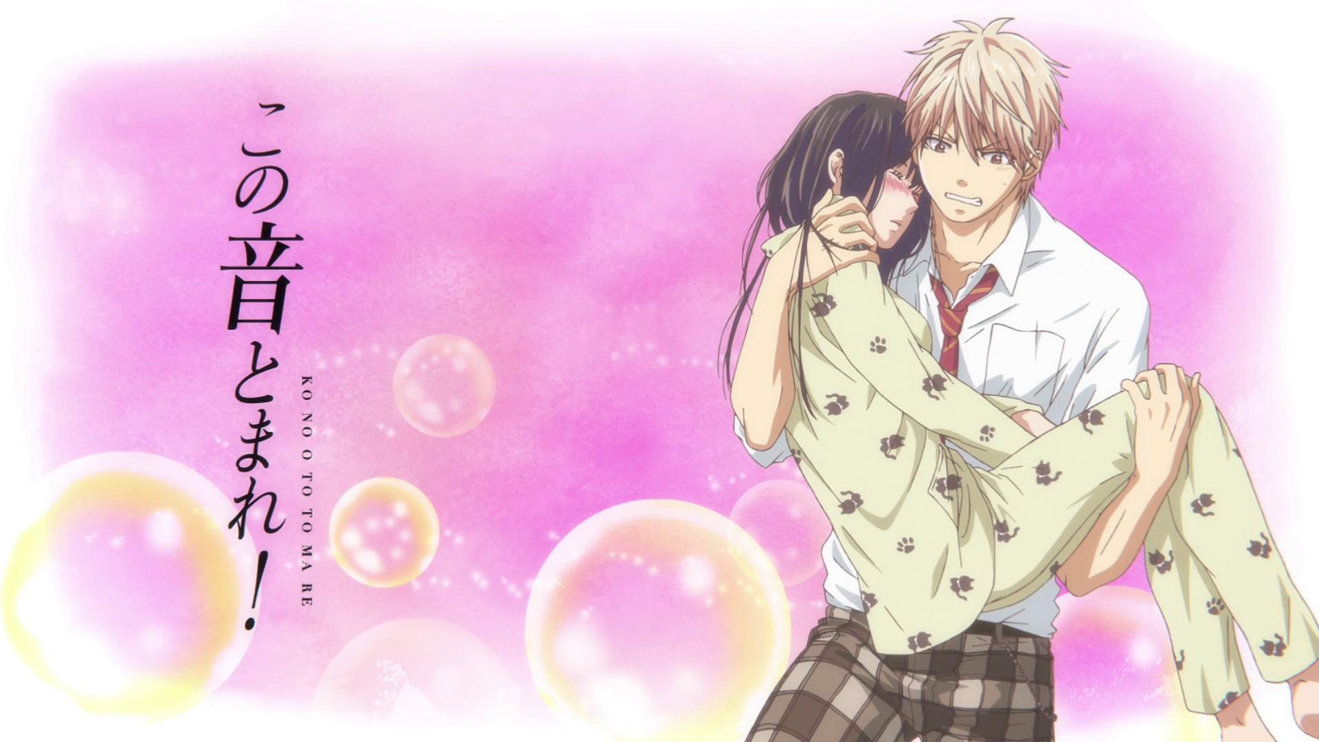 DVD Anime Kono Oto Tomare! (Stop This Sound!) TV Series (1-13 end