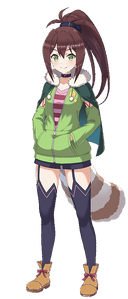 RinModel.png