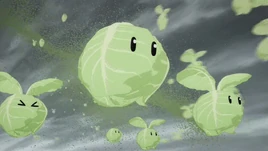 Cabbages Anime