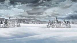 Snowfield Forest