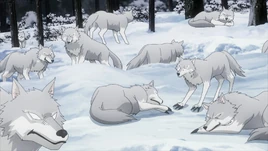 White Wolves Anime