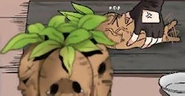 Mandrakes Manga.jpg (18 KB)
