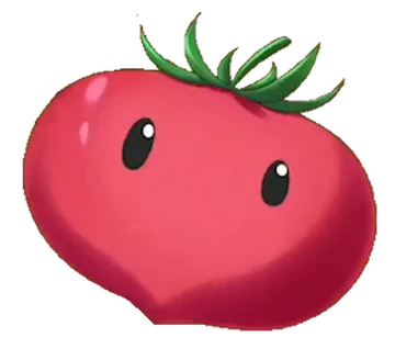 Tomato | Kono Subarashii Sekai ni Shukufuku wo! Wiki | Fandom