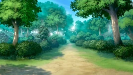 Forest Trail to the Crimson Demons