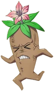 Flower Mandrake Game.png (149 KB) Flower Mandrake