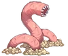 Worm