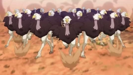 Running Hawkites Anime