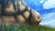 Genbu Opening.jpg (169 KB)