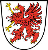 Gryfici