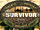 Survivor ORG 33: Arabia