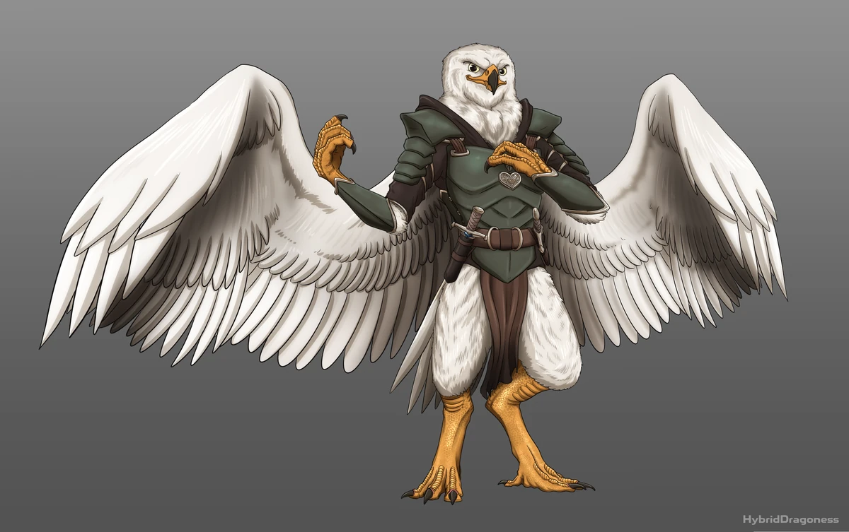Aarakocra Kortera Wiki Fandom