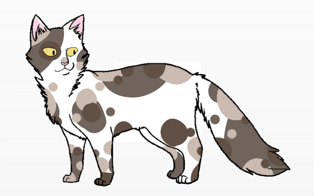 коты воители окрасы адопты. окрасы котов воителей адопты. коты воители племена грозовое племя. коты воители адопты. коты воители генератор персонажей.