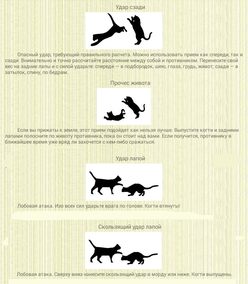 Коты воители боевые приемы. Боевые приёмы котов воителей. Коты Воители приёмы боя. Приемы драки коты Воители. Коты Воители приемы.