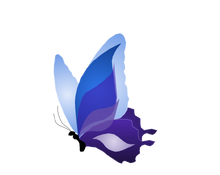 Butterfly (1).png