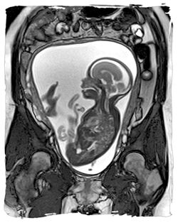 MedicalImaging.jpg