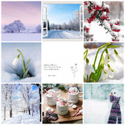 Snowdrop
