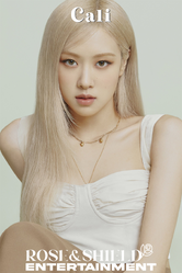 Park Ka-Kyung Lead Vocalist, Face of the Group