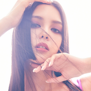 Profile Picture (Sugarr)