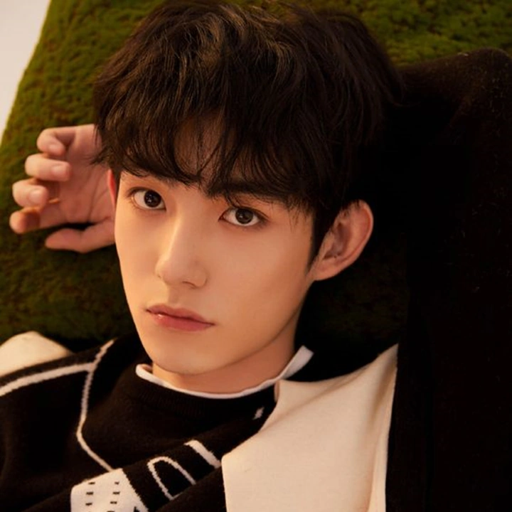 TRØX/Members Profile | K-Pop Fanon Fandom Wiki | Fandom