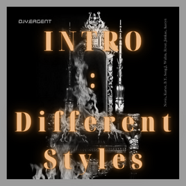 INTRO Different Styles album
