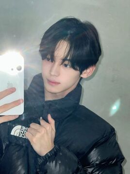 Zemin ELEMENT selca