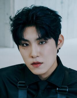 Kim woojin