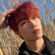 Cherry (LionHeart)