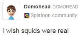Iwishsquidswerereal