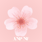 ANP NF