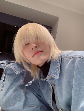 Kam Jutae