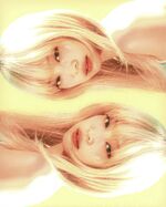 NEW SUGAR