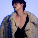 Geon Infobox