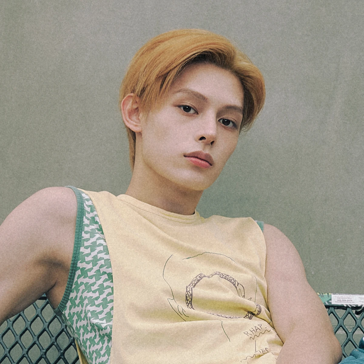 harry-k-pop-fanon-fandom-wiki-fandom