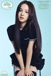 LILLIES Profile