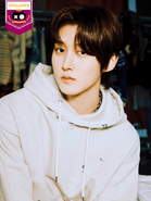 OWLDYSSEY (2)