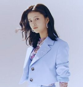 Rima-niziu