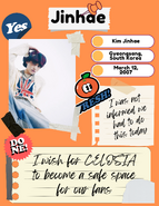 Debut Profile