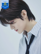 Reveal Profile
