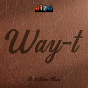 WAY-t