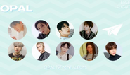 Opal Opalite Loyalty card, [9/9] stickers - completed