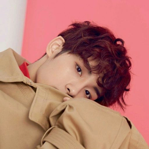 Jaewook | K-Pop Fanon Fandom Wiki | Fandom