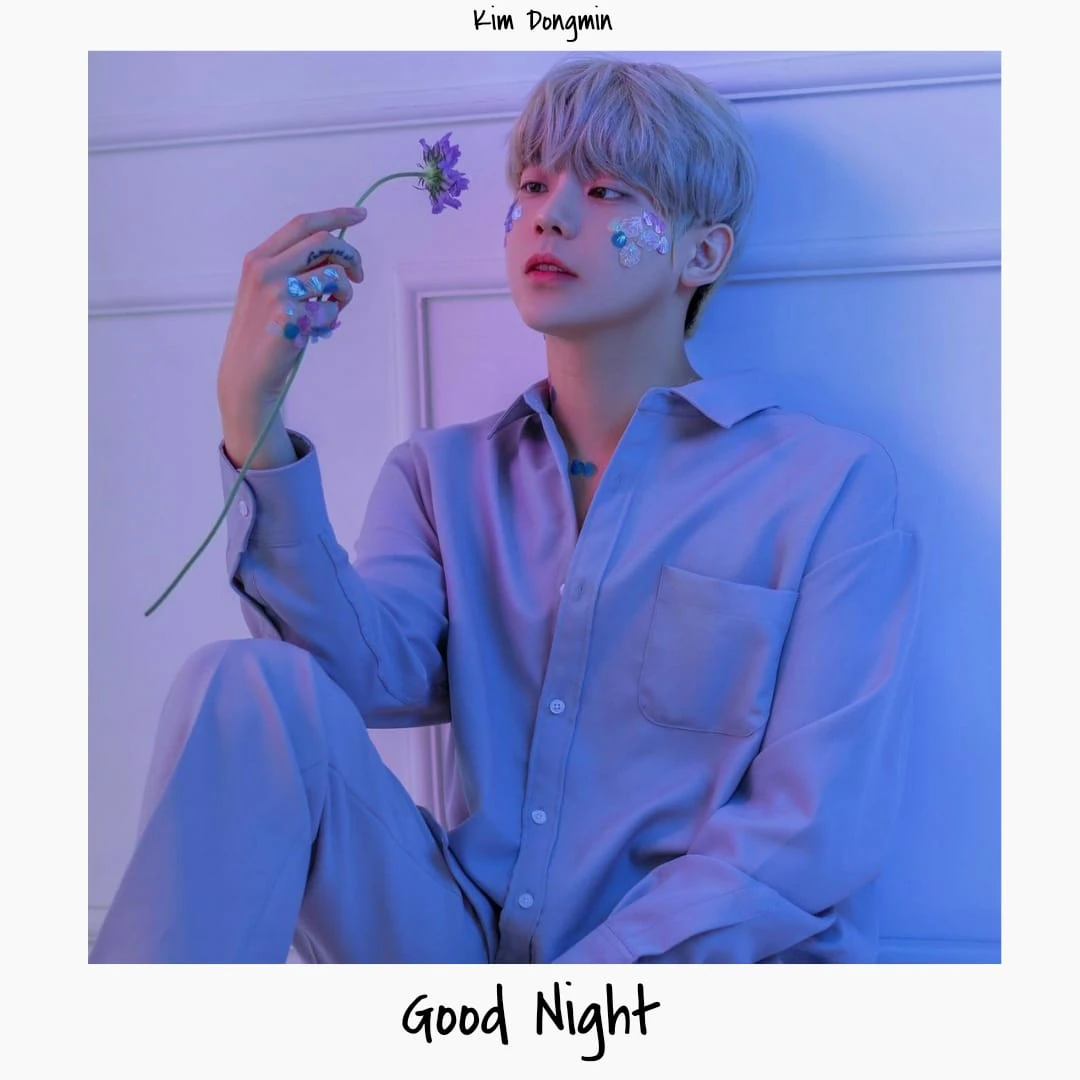 Good Night | K-Pop Fanon Fandom Wiki | Fandom