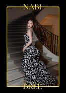 Bree "NABI" concept photo
