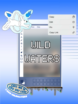 Wild Waters Poster